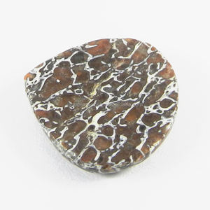 Venta al por mayor de cabujones de jaspe con corte de corazón de 22 mm de primera calidad, de hueso de dinosaurio, 3.80 g, piedra preciosa natural para joyería femenina. - Product Image 2