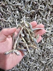Anchois Séchés IQF Écologiques de Qualité Supérieure en Vrac, Riches en Protéines, Idéaux pour la Cuisson et les Bouillons, Durée de Conservation de 12 Mois, Le Meilleur Choix - Product Image 3