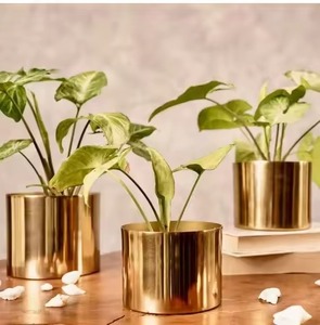 Maceta de Metal de Diseño con Acabado Antiguo, Maceta Decorativa para Plantas de Interior y Exterior, para Decoración del Hogar, Jardín y Balcón - Product Image 2