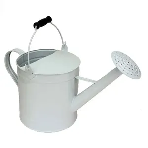 Durable Metal <b>Watering</b> <b>Can</b> with Sturdy Handle for Outdoor Gardens Ideal for Home Gardening and <b>Indoor</b> Plant <b>Watering</b> - Product Image 5