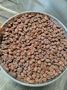Premium Grade 1 Arabica <b>Coffee</b> Beans 100% Natural Medium Roast Mellow Taste From Vietnam DHPONE Brand 0.5kg Wholesale Price - Product Image 3