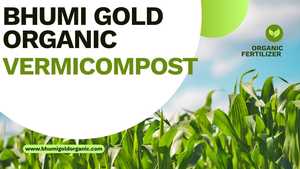 Engrais organique VERMICOMPOST, produit de première qualité, engrais organique vermicomposté pour plantes, vermicompost de haute qualité - Product Image 5