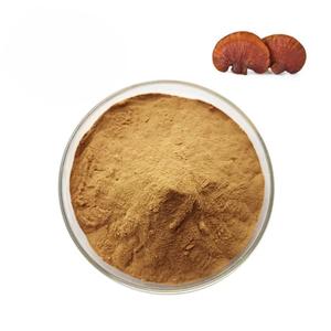 Poudre de champignon Reishi de qualité supérieure, qualité alimentaire, Ganoderma Lucidum naturel en poudre pour soutenir l'immunité, réduire le stress, améliorer le sommeil - Product Image 6