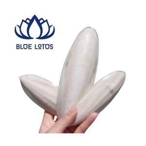 Meilleures ventes : Os de seiche pur de qualité supérieure, minéraux de calcium durables à absorption rapide, soutien pour le bec des reptiles - Product Image 1