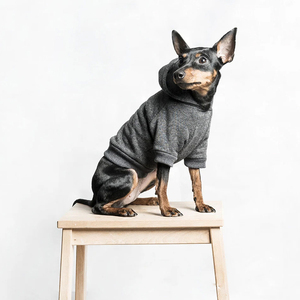 Nueva Sudadera con Capucha para Perro, Sudadera de Invierno para Cachorros con Bolsillos, Ropa Cálida y Acogedora para Perros Pequeños, Sudaderas con Capucha para Mascotas, Gatos y Gatitos - Product Image 3