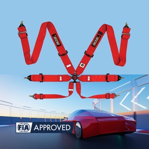 Marca de Carreras de Alta Gama TBRACING, Arnés de 6 Puntos con Aprobación FIA, Ajustadores de Acero, Servicio de Logotipo Personalizado OEM ODM - Product Image 2