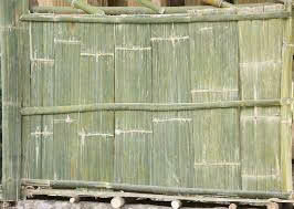 Valla de Bambú Natural de Vietnam para Jardín Exterior, Postes de Bambú Verdes - Product Image 5