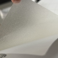 Película para Piso Mate Texturizada y Engrosada, Precio de Fábrica, Fabricante ODM, Nuevo Producto para Proyectos de Renovación de Pisos Interiores y Exteriores