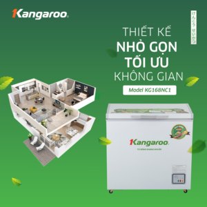 Congelador Horizontal de Una Sola Temperatura con Descongelación Manual, Precio de Congelador Horizontal para Mantener los Alimentos Frescos - Product Image 2