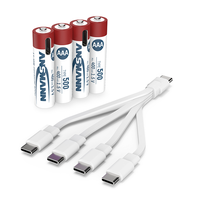 Batterie rechargeable au lithium ANSMANN 1,5 V AAA Micro USB haute capacité 500 mAh écologique