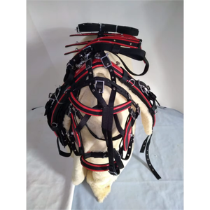 Ensemble de harnais d'équitation professionnel en nylon et cuir |   Équipement d'entraînement équestre réglable et durable, équipement personnalisé pour l'équitation - Product Image 3