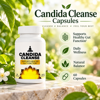 Capsules à base de plantes Candida Cleanse pour l'équilibre digestif quotidien et le bien-être intestinal, 60 capsules, OEM ODM Marque privée