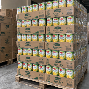 Maíz Dulce Enlatado de Alta Calidad con Granos Seleccionados y Enlatado Higiénico para Importadores que Compran Vegetales Envasados para Exportación - Product Image 5