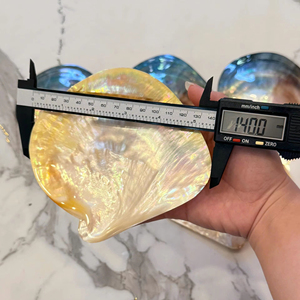 Assiette en mosaïque de coquillages unique, nacre, vaisselle décorative - Product Image 1