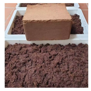 High Purity Cocopeat <b>Blocks</b> Factory Price - Product Image 2
