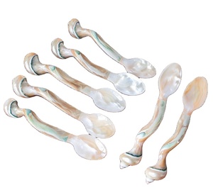 Elegance Pearl Spoon Design Cuchara de servicio de acero inoxidable de calidad superior para café Té para fiestas Bodas - Product Image 1