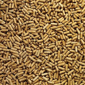 Pellets de madera de biomasa ecológicos creados a partir de residuos forestales de primera calidad para exportación a granel, aplicaciones de calefacción y demanda energética. - Product Image 5