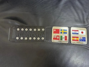 Ceinture de champion de lutte du monde en alliage de zinc léger, design drapeaux internationaux, équipement d'arts martiaux de haute qualité - Product Image 5