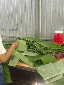 Hoja de Plátano Congelada de Vietnam, Hoja de Plátano Natural Verde Congelada para Envolver Alimentos, Catering, Restaurantes y Exportación a Granel - Product Image 6