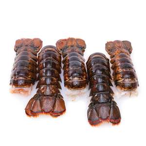 Langostas Congeladas Frescas de Primera Calidad, Cosechadas en Aguas Profundas del Océano, Empacadas para Compradores Globales de Mariscos - Product Image 3