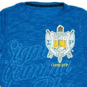 Camiseta Azul de Manga Larga Sigma Gamma Rho, Cuello Redondo, Estilo Deportivo, Cómoda, Ropa Deportiva, Uniforme Personalizado para Equipos, OEM - Product Image 3