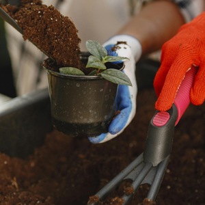 Poudre de coco écologique super lavée de qualité supérieure, organique, à pH équilibré, biodégradable, à forte rétention d'eau, prête à l'emploi pour le sol - Product Image 2