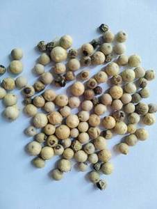 พริกไทยขาวอินเดียเมล็ดเต็ม ฤดูกาลใหม่ คุณภาพสูง สำหรับส่งออก กลิ่นหอมธรรมชาติ อายุการเก็บรักษา 24 เดือน FitTree - Product Image 2