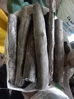 Charbon de bois blanc Binchotan d'eucalyptus japonais de qualité supérieure en gros, bâtons de charbon à combustion prolongée de 6 heures, 95 % de carbone fixe, longueur 5-27 cm, pour barbecue
