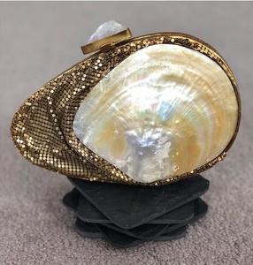 Sac à bandoulière en nacre avec chaîne en métal Stone Work Embellishment Ladies Party Wear Handbags by LUXURY CRAFTS - Product Image 3