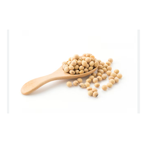 SHUBHALAXMII FOOD INDUSTRY Soja Fresca con Alto Contenido de Proteínas para Procesamiento de Alimentos y Uso en Piensos (Origen Maharashtra) - Product Image 4