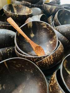 Meilleur choix Bol en coquille de noix de coco écologique avec cuillère ensemble complet pour votre cuisine de qualité d'exportation du Vietnam à haute qualité - Product Image 3