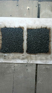 Engrais au phosphate de diammonium (DAP) pour l'agriculture, couleur jaune, marron, verte, fabriqué au Vietnam - Product Image 6