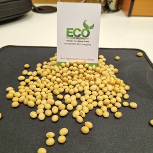 Soja jaune séché indien en vrac, fermenté, qualité alimentaire humaine - Product Image 1