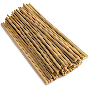Natural bamboo sticks for <b>gardening</b> eco-friendly poles raw <b>cane</b> stake crafts making materials - Product Image 4