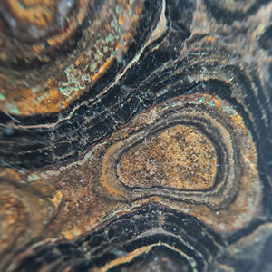 Wholesale Natural Stromatolite Gemstone Cabochons Customizable Sizes Designer Jewelry Making Supply Bulk - Product Image 2