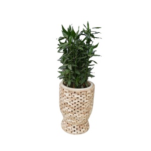 Brique en bois artistique de qualité supérieure fabriquée à la main Design unique créatif pour pots de fleurs et jardinières pour les amateurs de jardinage - Product Image 1
