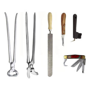 Kit de Herramientas de Herrador de Acero Inoxidable de Primera Calidad al por Mayor para el Cuidado de Pezuñas de Caballos y Perros con Instrumentos Quirúrgicos - Product Image 2