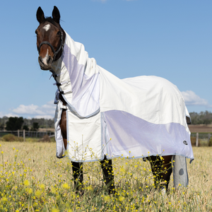 Manta Impermeable para Caballo de Invierno con Cuello, Relleno de 300 GSM, Manta Resistente para Exteriores |   Herrajes de Acero Inoxidable Transpirables - Product Image 4