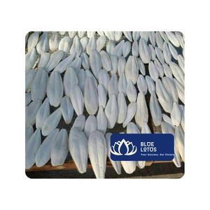 [VENTA EXITOSA] |   Hueso de Sepia para el Cuidado de la Pico de las Aves, Suplemento de Calcio y Alimento para Mascotas, Exportación desde Vietnam - Product Image 1