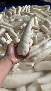 Rodajas de Yuca Congeladas IQF para Catering y Fabricación de Alimentos, Materia Prima Vegetal Rica en Almidón Natural para Exportación Global - Product Image 3