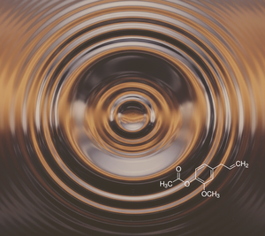 Acetato de Eugenilo (CL-901) Aroma Van - Product Image 1