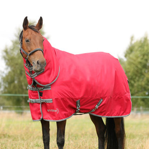 Couverture de luxe pour chevaux en coton premium pour l'été, avec col intégré, respirante, pour l'écurie, utilisable en intérieur et en extérieur - Product Image 2