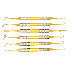 Nuevo Kit de Instrumentos Dentales Compuestos XELTECH SURGICAL, 6 Piezas, Juego de Raspadores Dentales con Punta Plateada, Calidad Manual Grado A+, CE - Product Image 5
