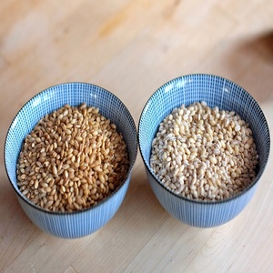 อาหารสัตว์แห้งออร์แกนิก ข้าวสาลีบด และเมล็ดมอลต์ข้าวบาร์เลย์ มีจำหน่ายสำหรับขายส่ง - Product Image 1