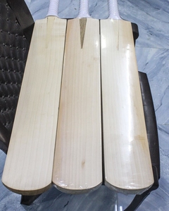 Batte de cricket en bois de saule anglais de haute qualité, édition joueur, confort et performance garantis. - Product Image 2