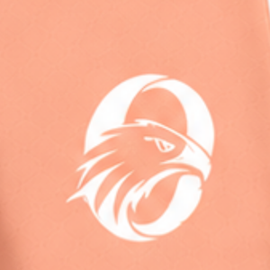 Shorts de rugby blancs pêche, taille élastique avec cordon de serrage, pour entraînement et match, vêtements de sport légers pour équipes - Product Image 6