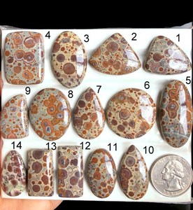 Cabujón de Jaspe Asteroidal Seleccionado, Gema Semipreciosa Natural para Joyería, Estilo Suroeste y Arte Artesanal - Product Image 2