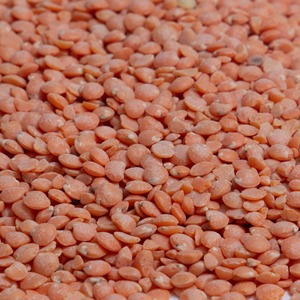 Lentejas Rojas Secas Naturales, Ricas en Nutrientes, con Procesamiento Clasificado y Empaque Seguro para Importación Mayorista de Abarrotes - Product Image 4