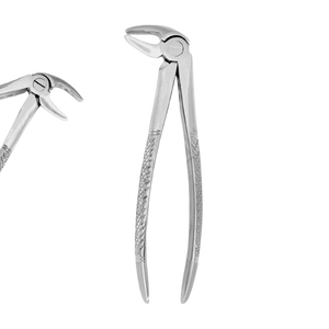 Pince d'extraction Fig 13 prémolaires inférieures Extraction de dents pince chirurgicale motif anglais ensemble dentaire Instruments chirurgicaux - Product Image 1