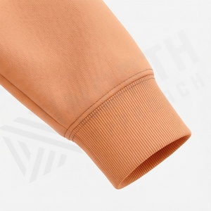 Sudaderas con Capucha de Poliéster a Precio de Fábrica, 320 GSM, Premium, Gruesas, Cálidas, Cómodas, Suaves, Color Personalizado, Venta al Por Mayor - Product Image 6